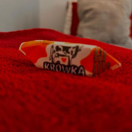 Super 1 Bed Room Condo In Warszawa Center Екстериор снимка
